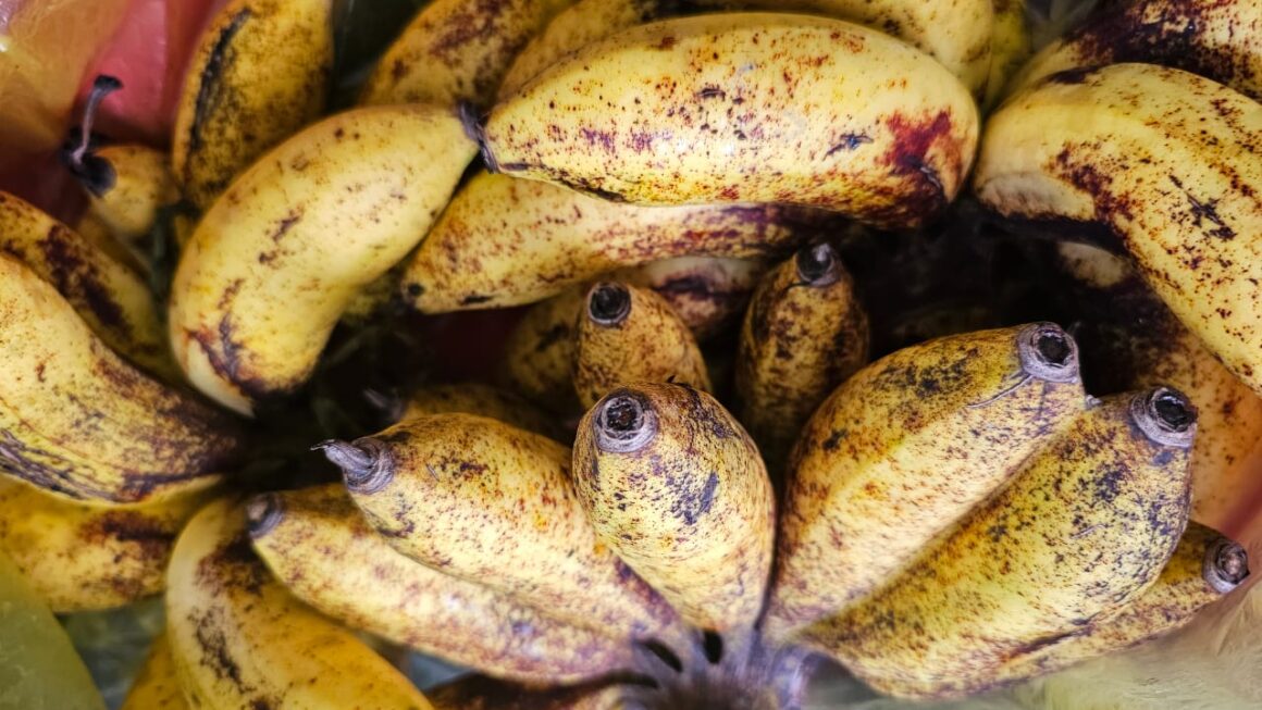 Pisang Susu