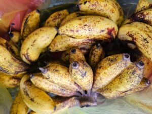Pisang Susu